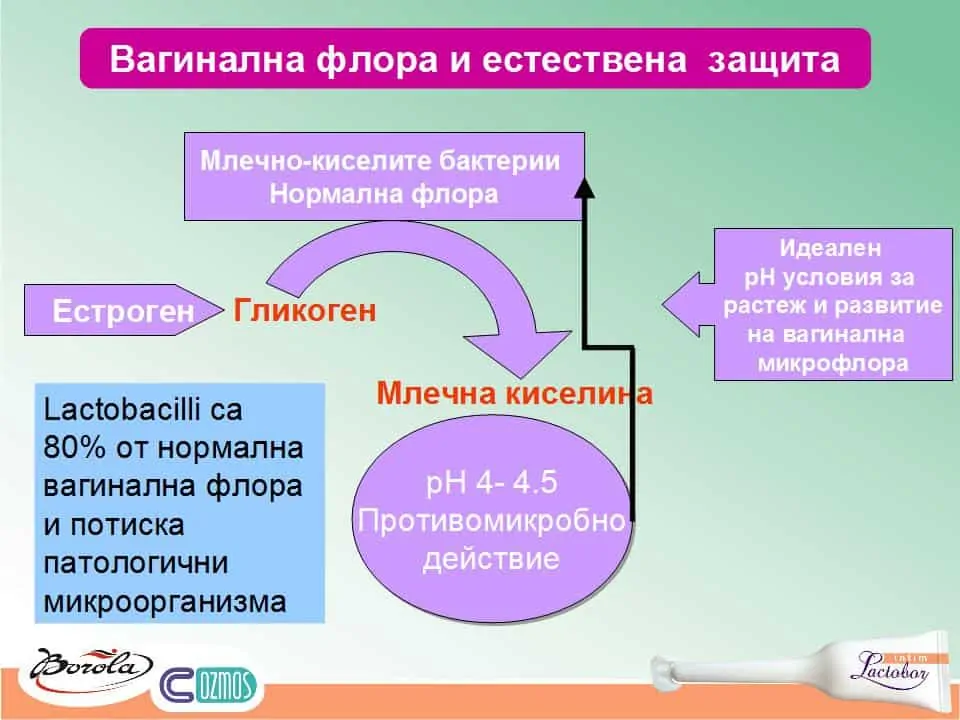 Бактериална вагиноза – Доц. Д-р М. Малинова